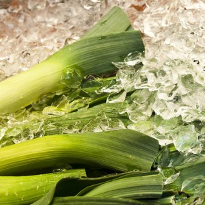 Food photography - Leeks - vegetable - with ice - Étel fotó - póréhagyma jéggel